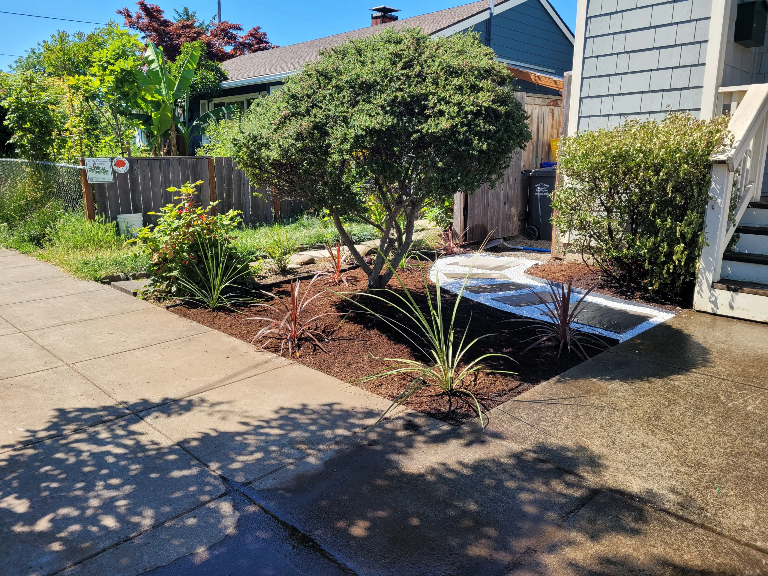 N Willis Landscape Transformation project