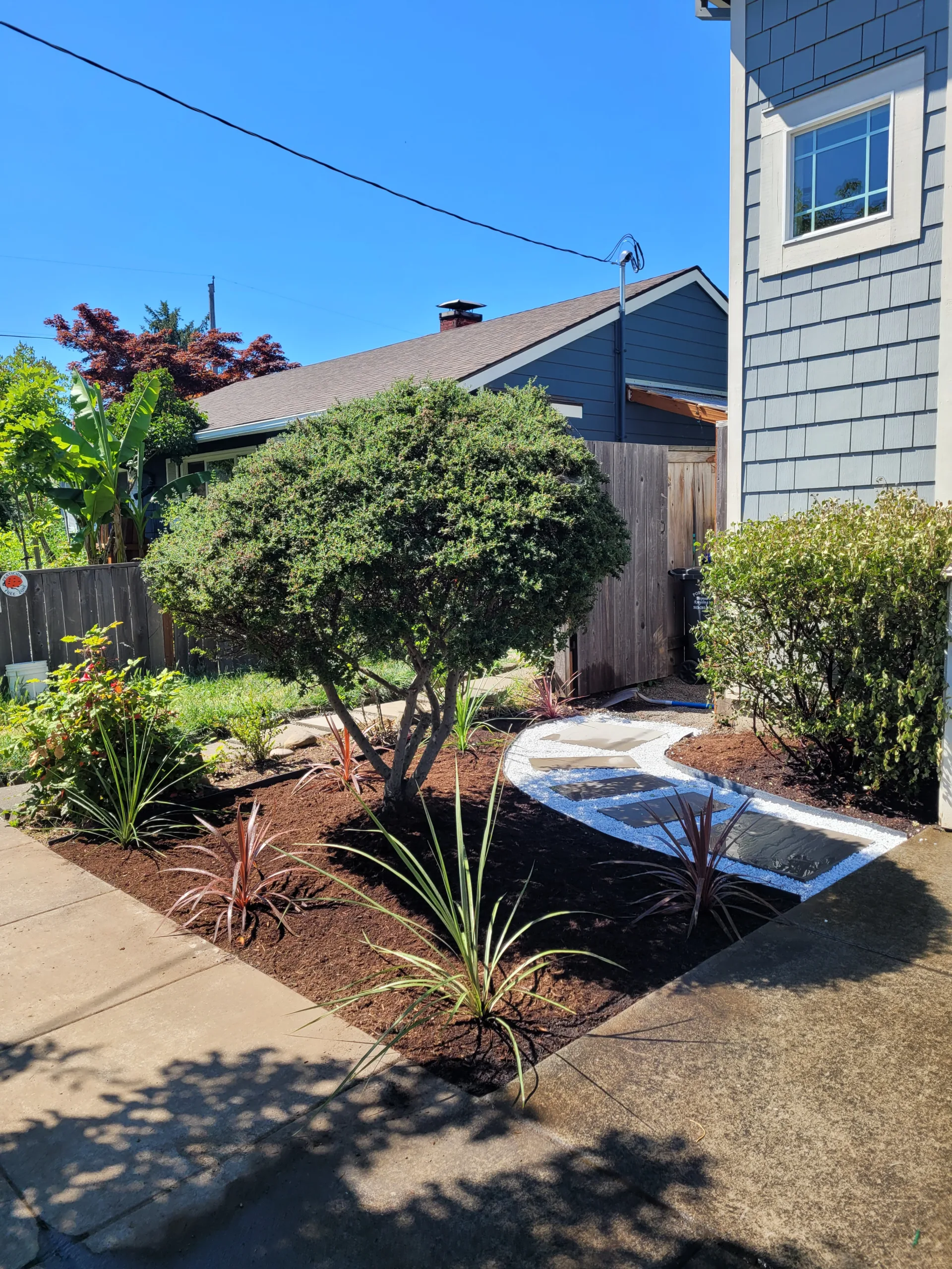 Regraded yard with drainage corrections and groundcover in Portland