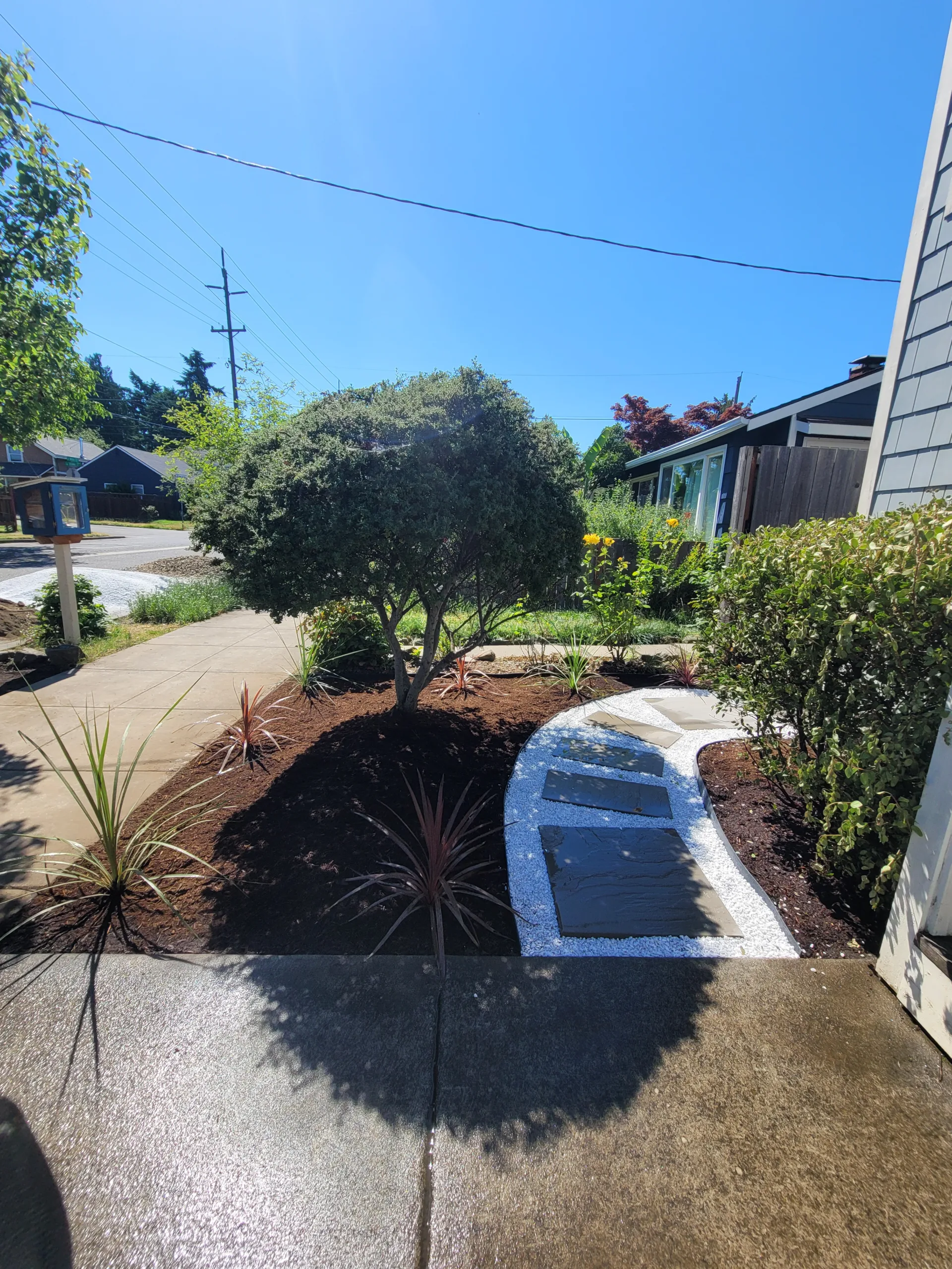 N Willis Landscape Transformation thumbnail 22