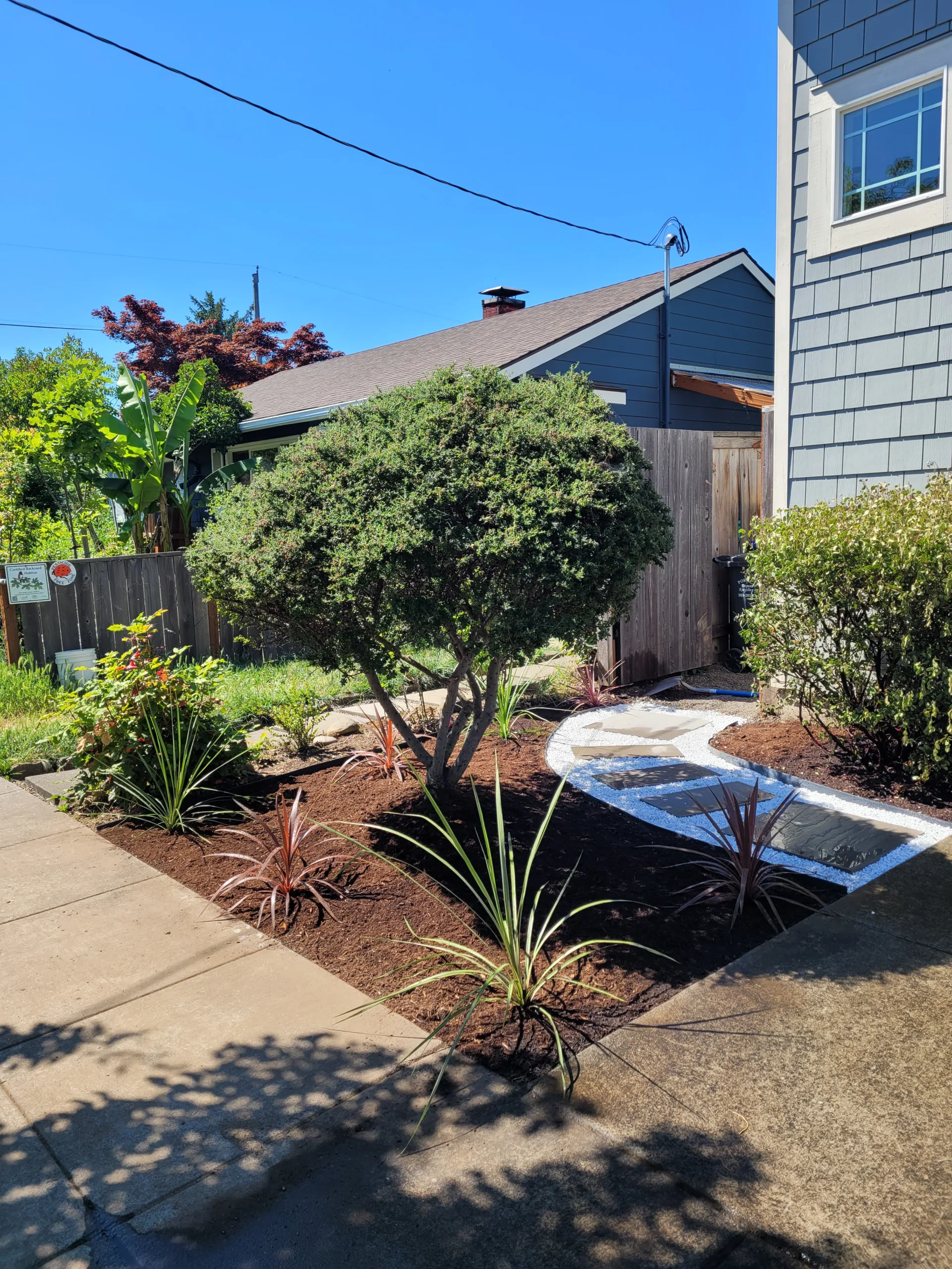 N Willis Landscape Transformation thumbnail 25