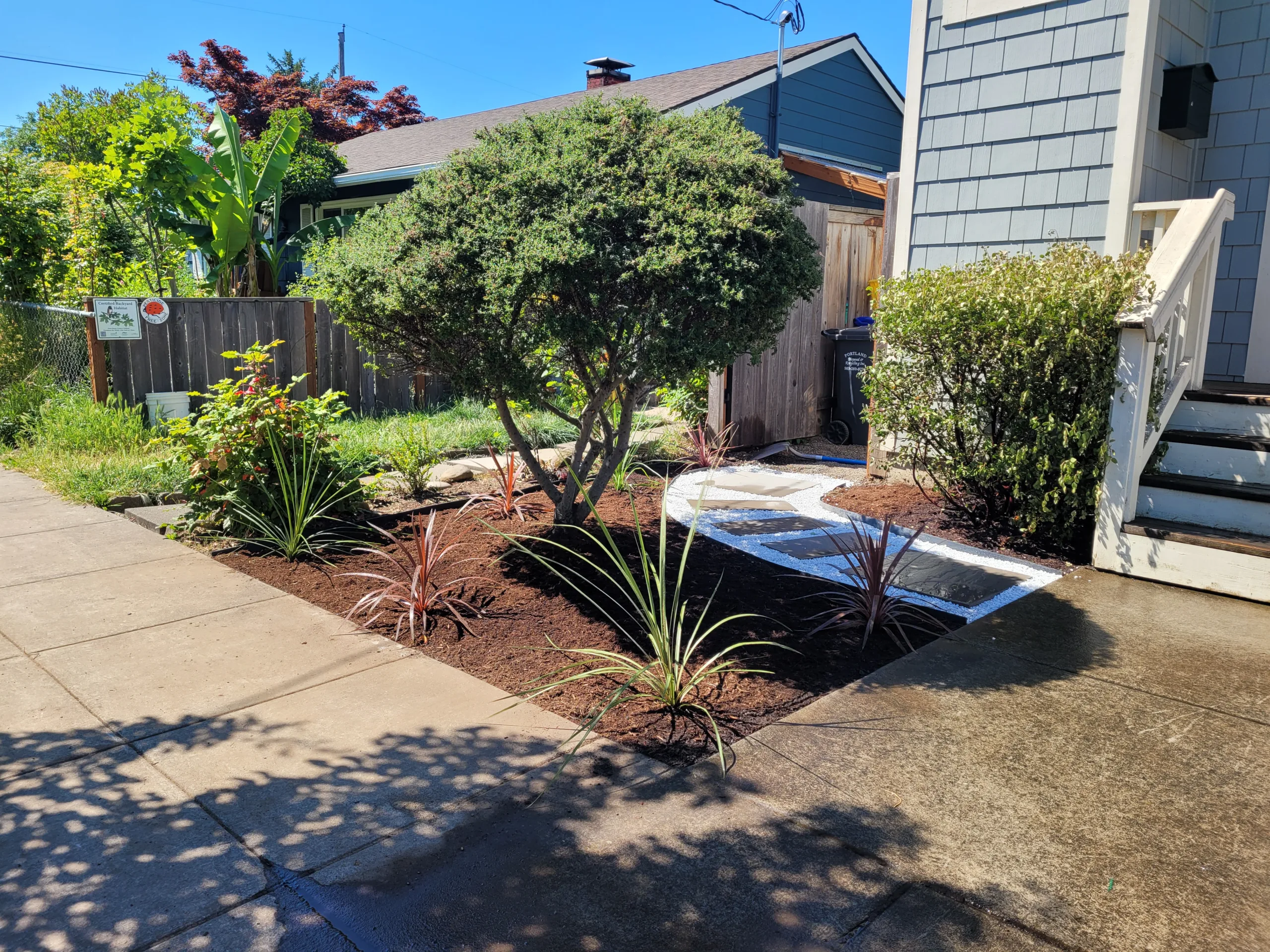 N Willis Landscape Transformation thumbnail 28